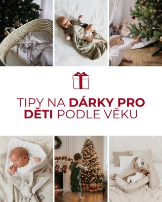 Hledáte inspiraci na dárky pro nejmenší? Někdy je to složité, seřadili jsme je pro vás proto podle věku ♥️ Mrkněte do...