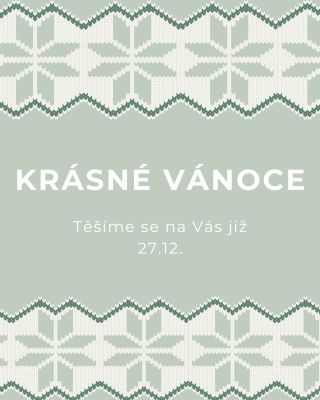 Ty nejkrásnější Vánoce ♥️🎄 ať se vám splní vše, co si přejete! Vaše Sleepee PS: dáme si chvíli pauzu také, ale vaše...